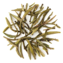 Glenburn Classic Spring Green Tea