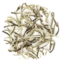 Glenburn Classic Spring Green Tea